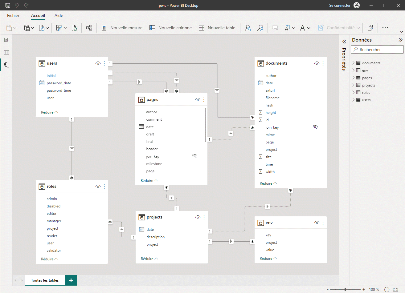 Pwic.wiki loaded into Power BI Desktop